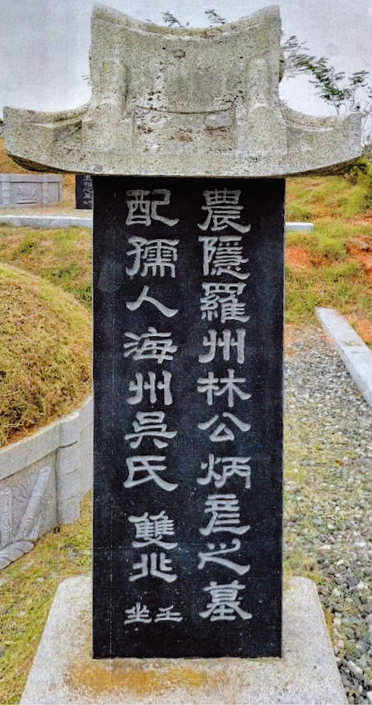 農隱羅州林公炳彦之墓